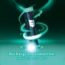 画像をギャラリービューアに読み込む, エコパック 10本入